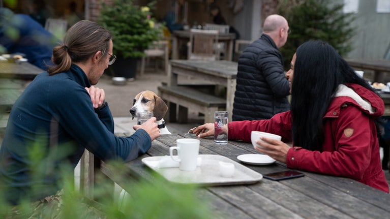 Visitors relaxing outside a courtyard café